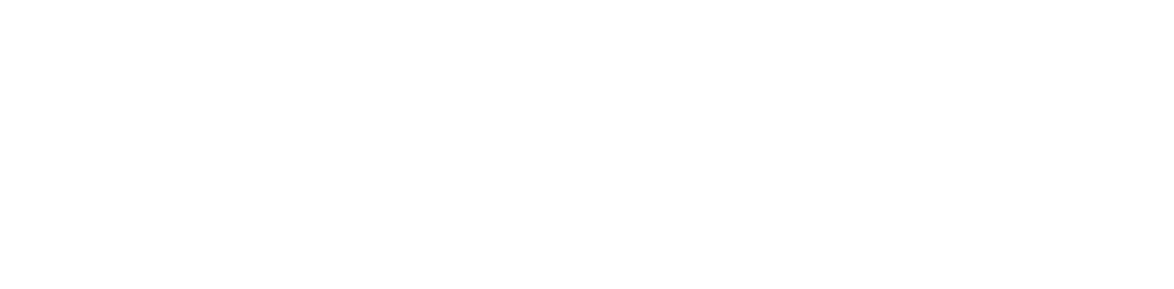 Logo MacroWare optimizado